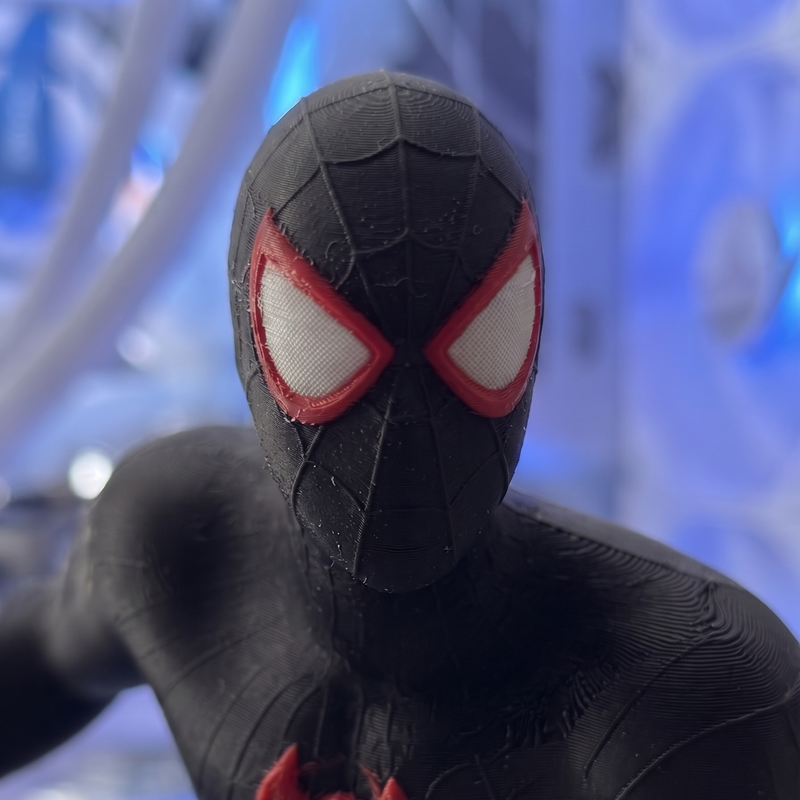 Black Spider-Man
