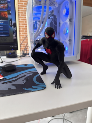 Black Spider-Man