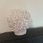 Coral Glow Lamp