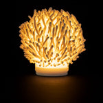 Coral Glow Lamp
