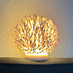 Coral Glow Lamp
